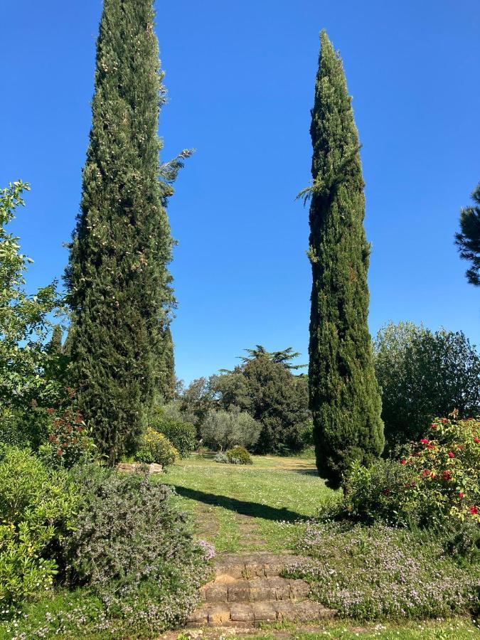 Tenuta Poggio Alla Farnia Fauglia 外观 照片